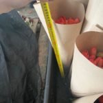 big_56